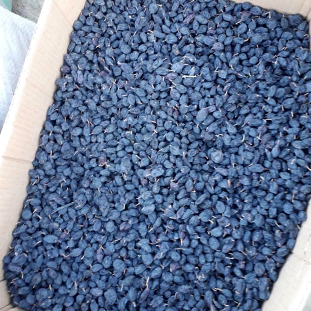 کشمش سیاه MAMAL Bio